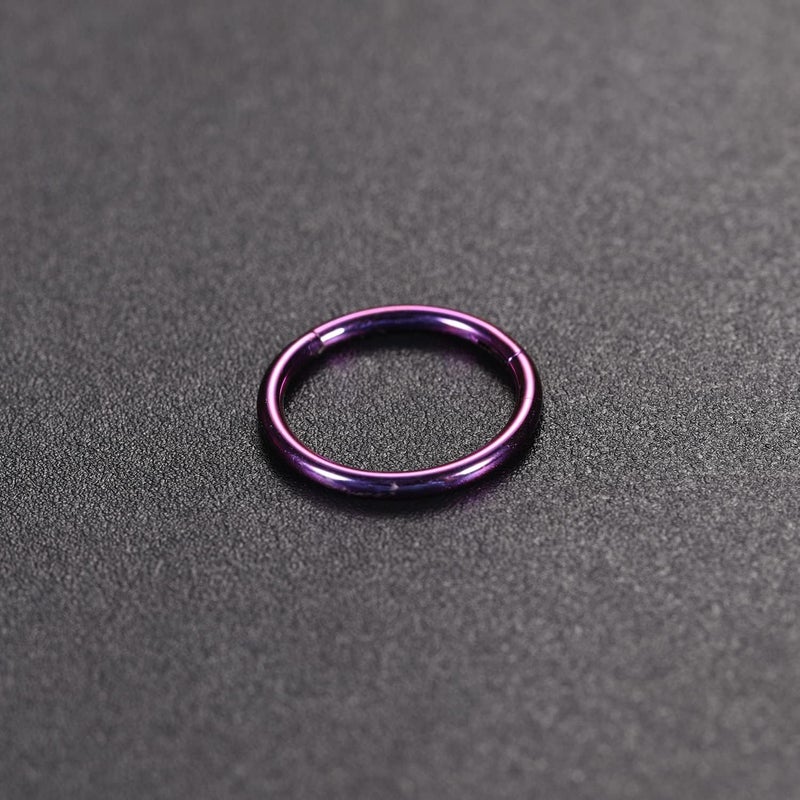 FUNLMO Store 316L Surgical Steel Hinged Segment Nose Ring Hoop for Nose Septum Cartilage Helix Tragus Conch Rook Daith Lobe Lip Piercings 1 Pc - Image 4